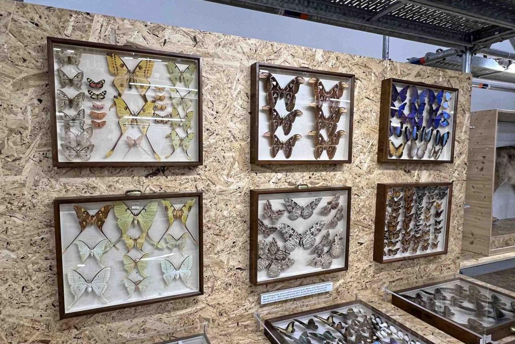 Münster LWL Naturkundemuseum
