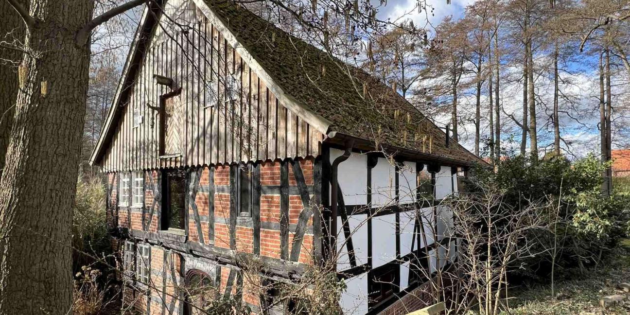 Negenborn Wassermühle