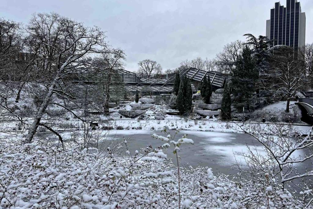 Hamburg Botanischer Garten