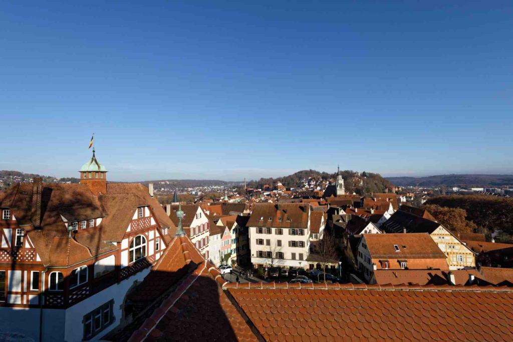 Blick vom Schloss auf Tübingen