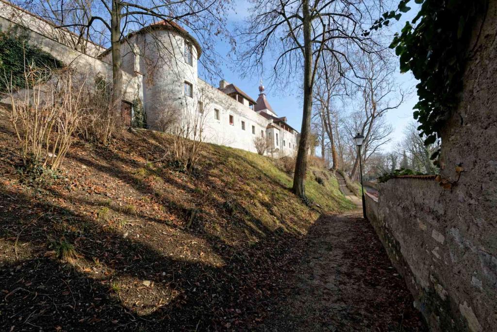 Neuburg (Donau)