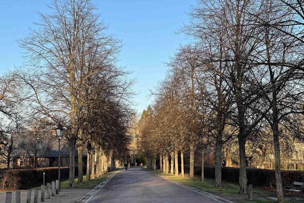 Potsdam Alexandrowka Straße