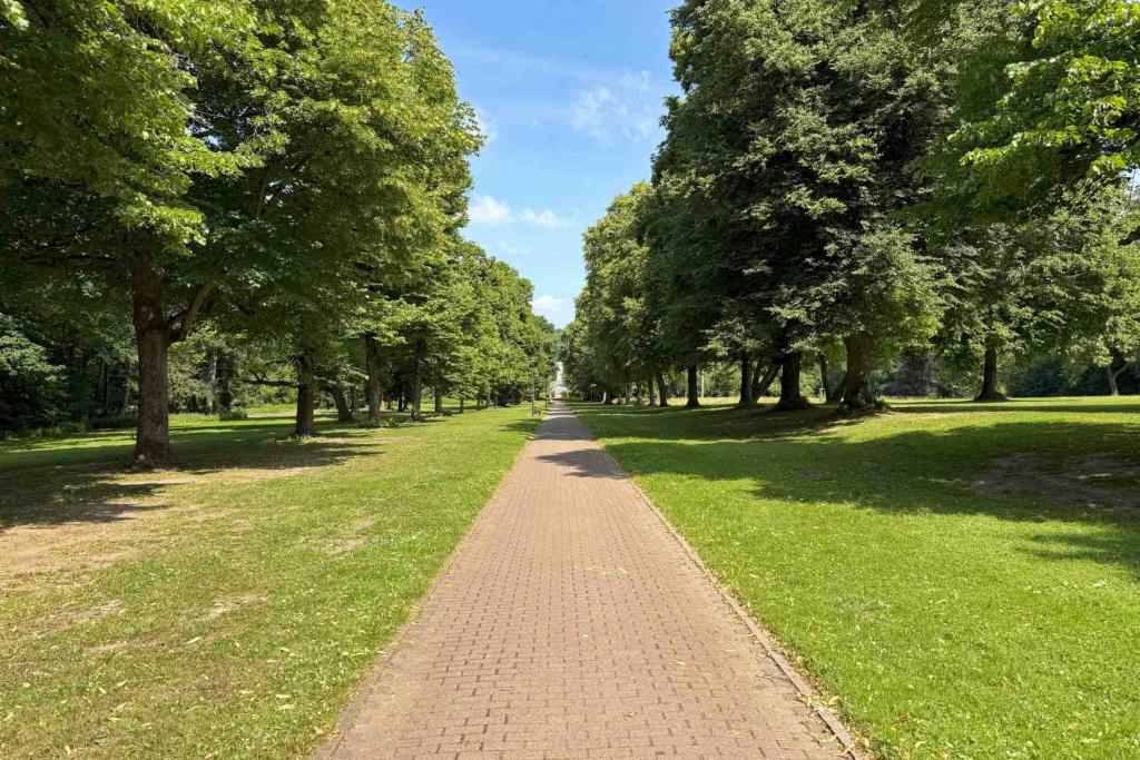 Schloss Schieder Lindenallee