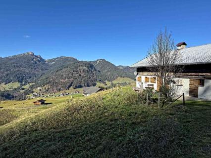 Söllereck - Bergschauweg - Walser Schanz