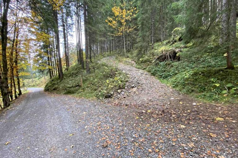 Wanderung Abzweig Hintere Einödsbergalpe 