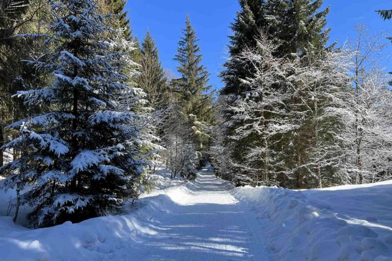 Winterwanderung Linderhof Graswang Winterwald