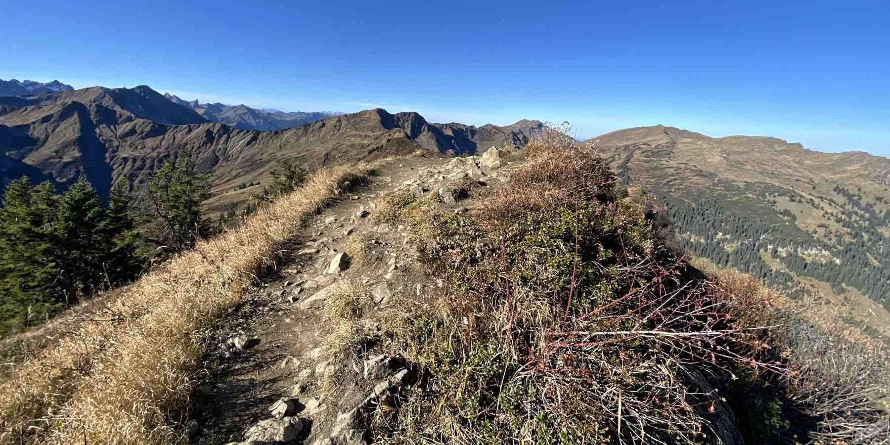 Walmendingerhorn  Ochsenhofer Köpfe Baad