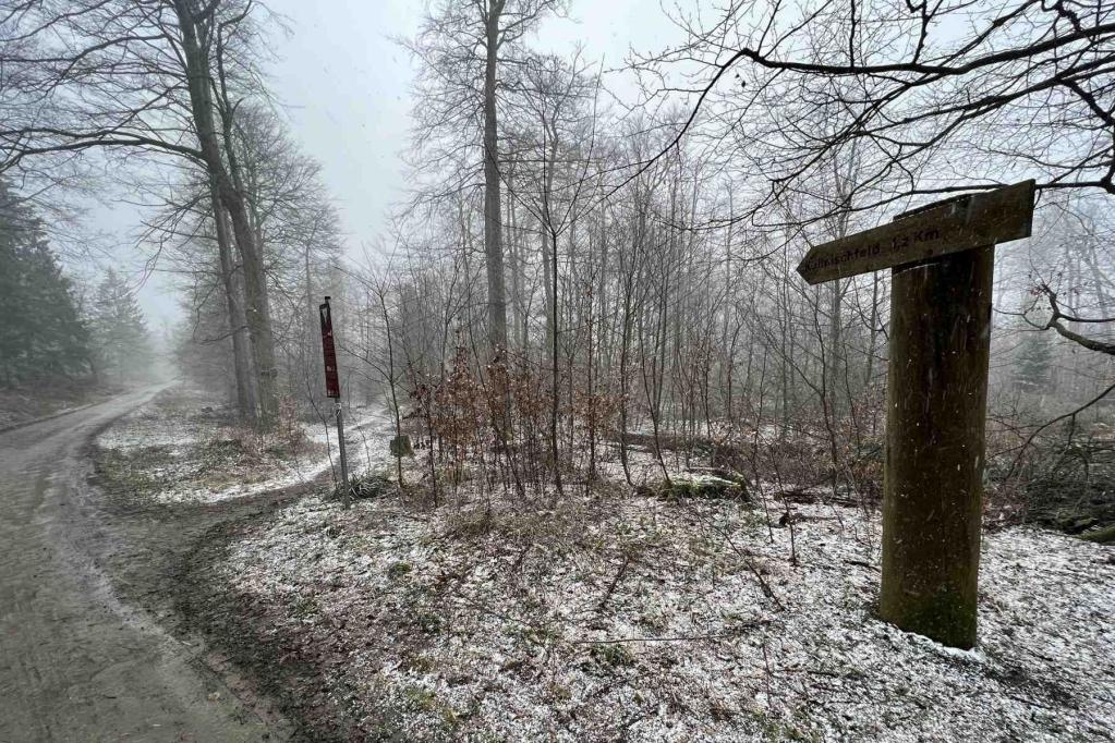 Deister Kammweg Abzweig E1