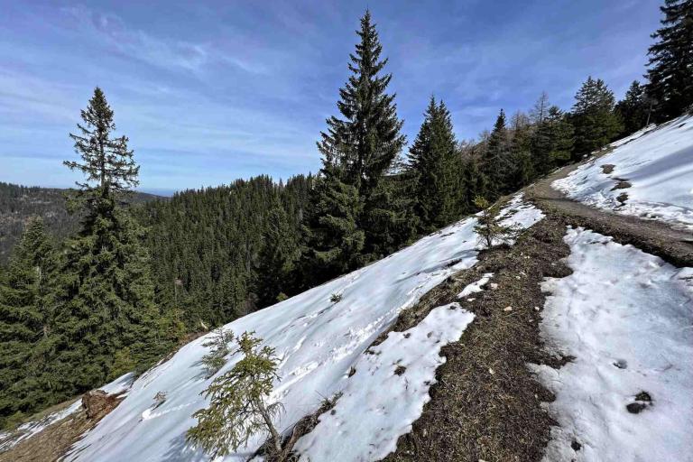 Wanderweg Riederstein Baumgartenschneid