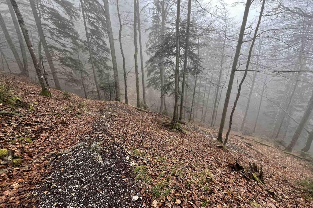 Pionierweg