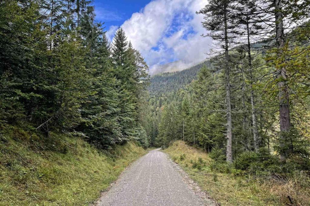 Wanderweg 452 Krottenkopf.