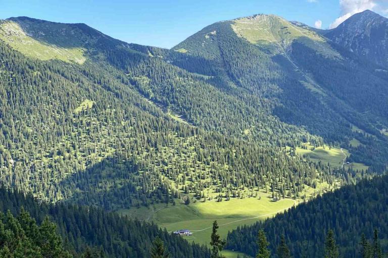 Wank Krottenkopf Esterbergalm